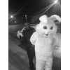 avatar YeeBunny