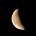 avatar adeq1