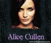 avatar alicecullen