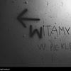 avatar arektymorek