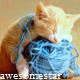 avatar awesomestar