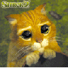 avatar dominik322