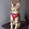 avatar kacpi1111