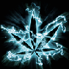 avatar kamilog