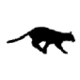 avatar kylu4