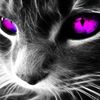 avatar mjkamankowska
