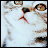 avatar nila837364