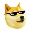 avatar piotr222222
