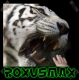 avatar roxusmaximus
