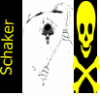 avatar schaker