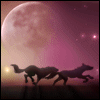avatar shewolf