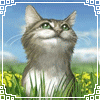avatar sweetkitty