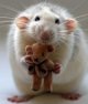 avatar szczurka9