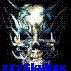 avatar xxxskullxxx