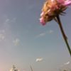 avatar zbyhula