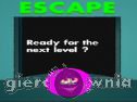 Miniaturka gry: 40x Escape
