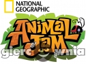Miniaturka gry: Animal Jam