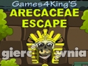 Miniaturka gry: Arecaceae Escape