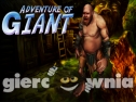 Miniaturka gry: Adventure Of Giant