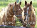 Miniaturka gry: Beautiful Horses Jigsaw Puzzle