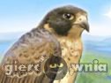 Miniaturka gry: Brave Falcon