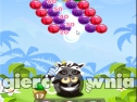 Miniaturka gry: Bubble Shooter Raccoon