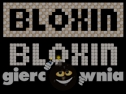Miniaturka gry: Bloxin