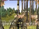 Miniaturka gry: Bow Hunter Target Challenge