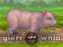 Miniaturka gry: Clean Little Piggy