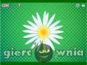 Miniaturka gry: Daisy Petals
