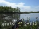 Miniaturka gry: Duck Shooter