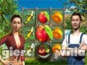 Miniaturka gry: Dream Fruit Farm