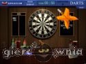 Miniaturka gry: Darts 501+ 301