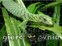 Miniaturka gry: Emerald Tree Monitor Jigsaw