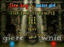 Miniaturka gry: Fireboy & Watergirl 3 In The Forest Temple