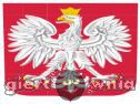 Miniaturka gry: Godło Polski