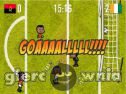 Miniaturka gry: Goooaaal Africa 2012