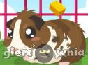 Miniaturka gry: Guinea Pig Care