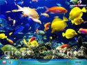 Miniaturka gry: Hidden Hints Aquatic Creature