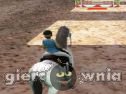Miniaturka gry: Horse Jumping 3D