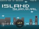 Miniaturka gry: Island Survival