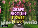 Miniaturka gry: Knf Escape From the Flower Garden