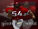 Miniaturka gry: Linebacker