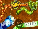 Miniaturka gry: Little Big Snake