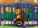 Miniaturka gry: Locked Up Gorilla Rescue