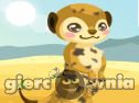 Miniaturka gry: Meerkat Care