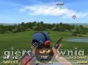 Miniaturka gry: Pro Skeet Shooting