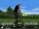 Miniaturka gry: Pro Tour Golf