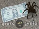 Miniaturka gry: Play With Spider