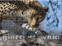 Miniaturka gry: Leopard Jigsaw Puzzle